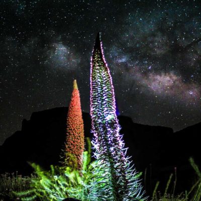 Milky Way Series- Tenerife