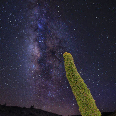 Milky Way Series- Tenerife