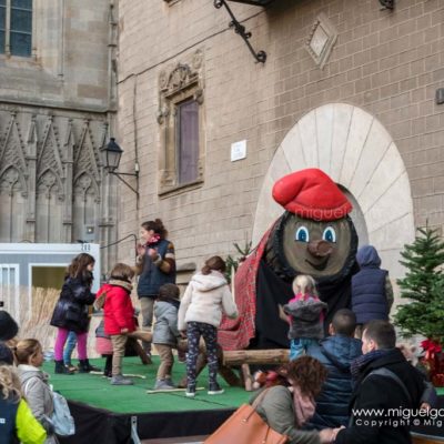 Christmas market of Santa Lucia, Barcelona