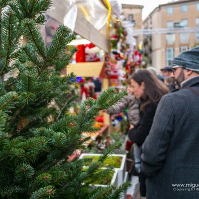 Christmas market of Santa Lucia, Barcelona