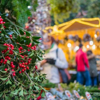 Christmas market of Santa Lucia, Barcelona