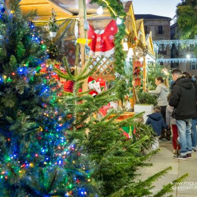 Christmas market of Santa Lucia, Barcelona