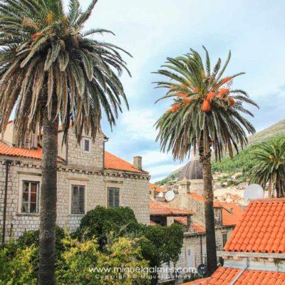 Dubrovnik old town from the city walls