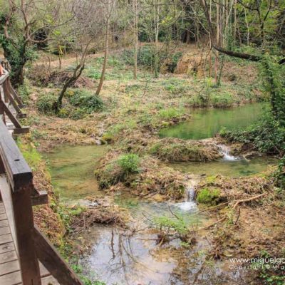 wooden footbridge in Krka National Park