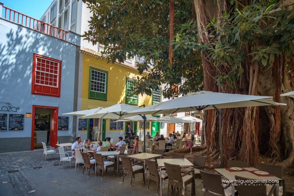 Santa Cruz de Tenerife
