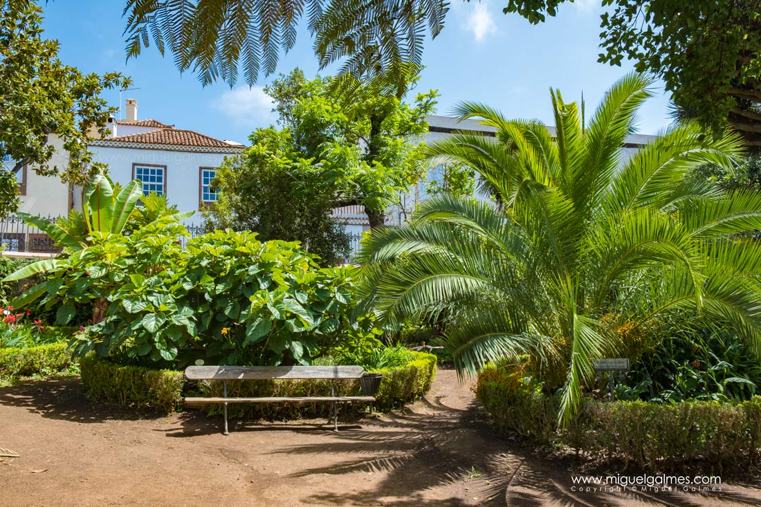 A tour of Tenerife, the island of eternal spring

more info: www.miguelgalmes.com/tenerife
